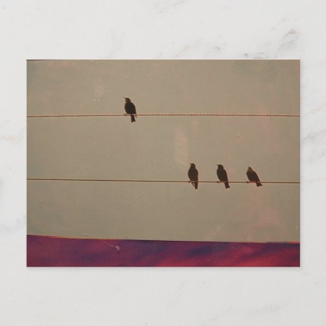 Cartão postal da série Serenity (Frente)