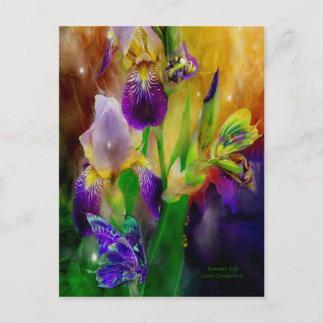 Cartão postal da Summer Life (Frente)