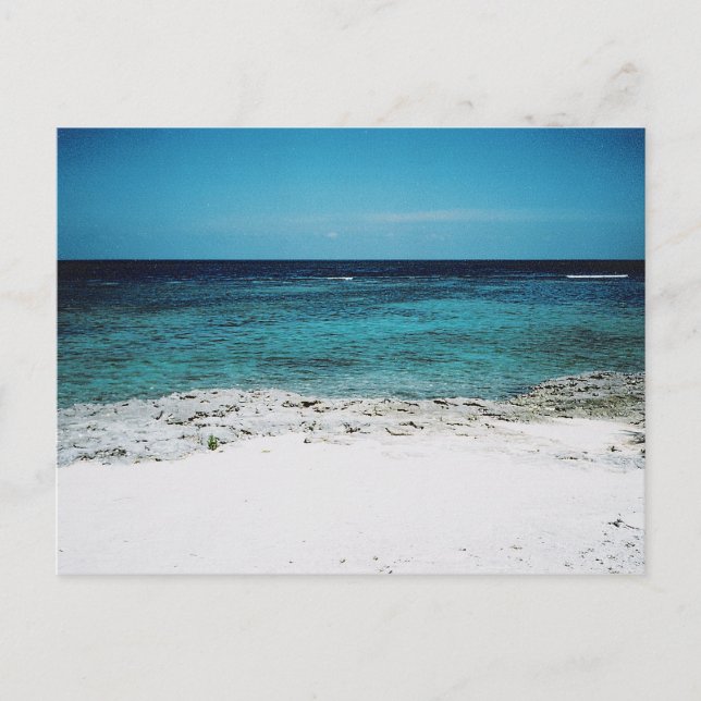 Cartão Postal da Tropical Gaze (Frente)