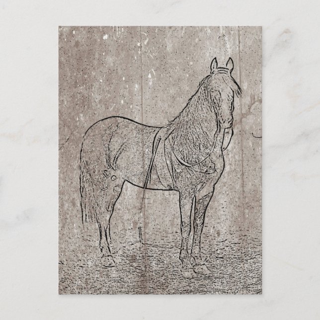 Cartão postal da União dos Cavalos da Guerra Civil (Frente)