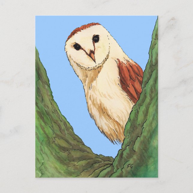 cartão postal da vara (Frente)