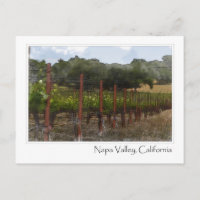 Cartão postal da vinha do Vale de Napa, Califórnia