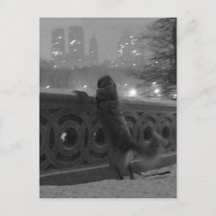 Cartão postal da Vista de Neve da Ponte do Arco Ce