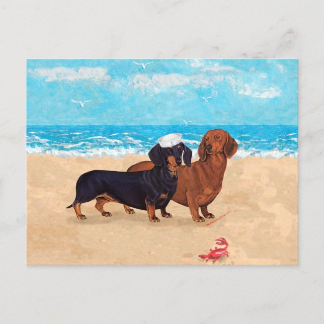 Cartão Postal Dachshances na praia (Frente)
