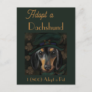 Cartão Postal Dachshund