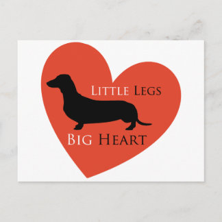 Cartão Postal Dachshund