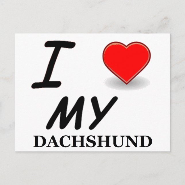 Cartão Postal dachshund (Frente)