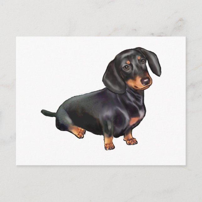 Cartão Postal Dachshund (A) - Preto e bronzeado (Frente)