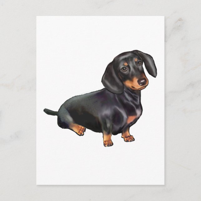 Cartão Postal Dachshund (A) - Preto e Castanho (Frente)