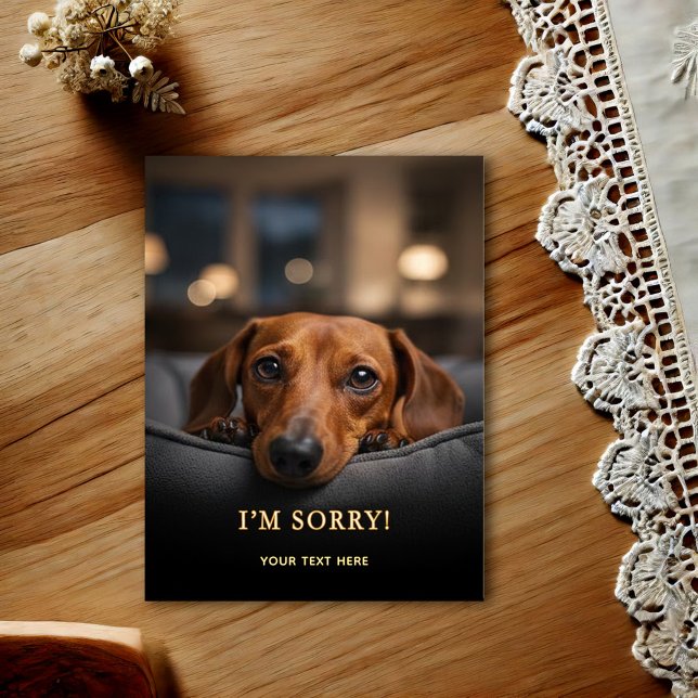 Cartão postal Dachshund Adorável Desculpas (Criador carregado)