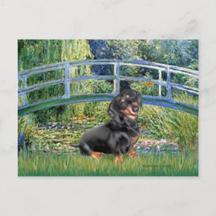 Cartão Postal Dachshund (BT4) - Ponte