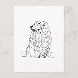 Cartão Postal Dachshund – Cachorro Salsicha de Pelo Longo