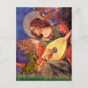 Cartão Postal Dachshund (castanho1) - Anjo Mandolin