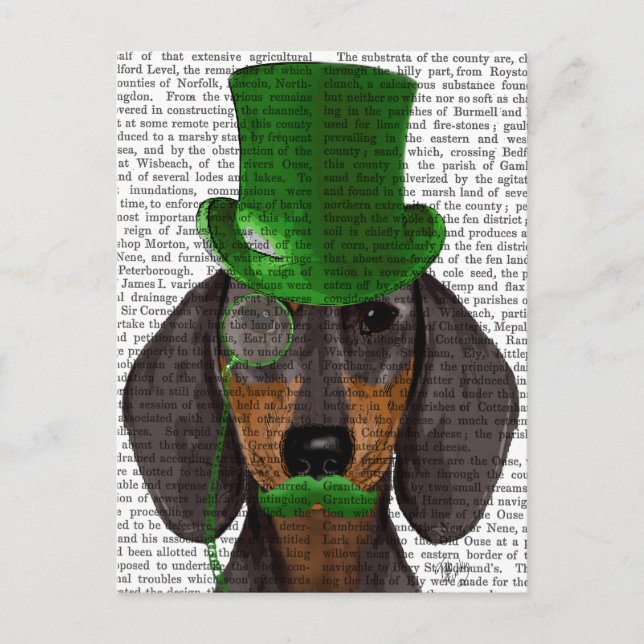 Cartão Postal Dachshund com Preto 2 de Chapéu Superior Verde (Frente)