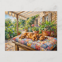 Dachshund descansando em um banco de jardim de ret