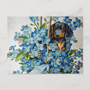 Cartão Postal Dachshund e Forget-Me-Nots