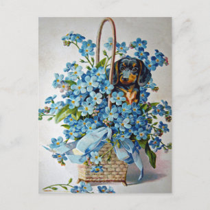 Cartão Postal Dachshund e Forget-Me-Nots