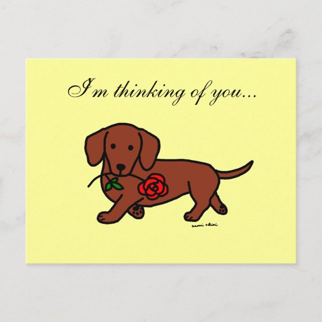 Cartão Postal Dachshund e um desenho de flores (Frente)