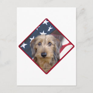 Cartão Postal Dachshund Flag 2