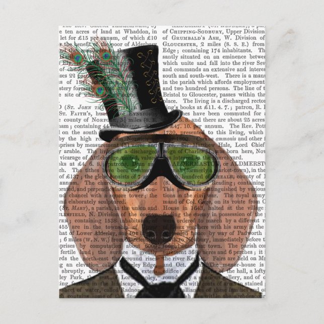 Cartão Postal Dachshund Green Goggles Top Hat (Frente)