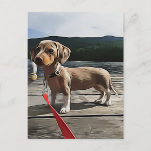 Cartão Postal Dachshund Life É Melhor Com Um Aniversário De Dach