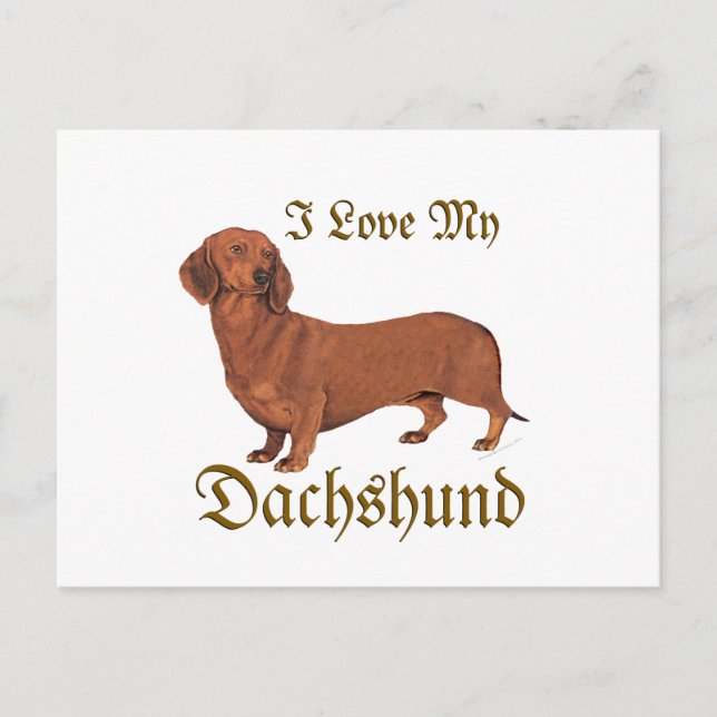 Cartão Postal Dachshund Love (Frente)