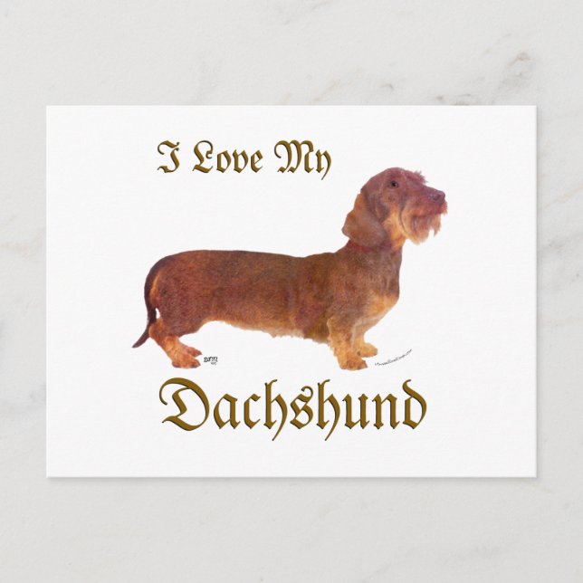 Cartão Postal Dachshund Love (Frente)