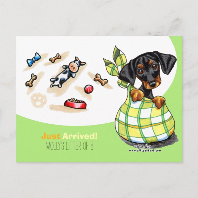 Cartão Postal Dachshund New Puppy Social (Frente)