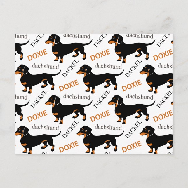 Cartão Postal Dachshund ou Padrão de Doxie Cute (Frente)
