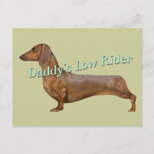 Cartão Postal Dachshund Pai Baixo Presente