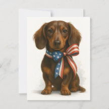 Dachshund Patriótico