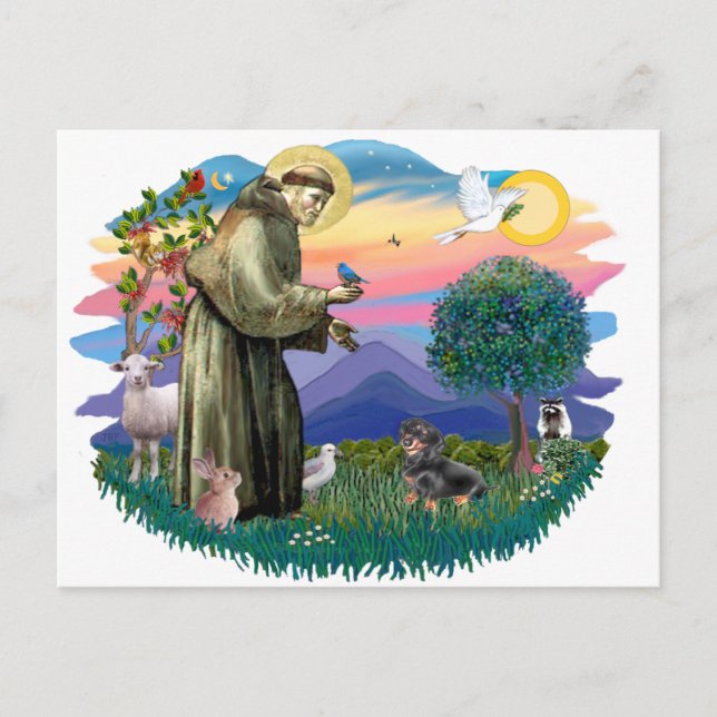 Cartão Postal Dachshund (preto e acastanhado) (Frente)