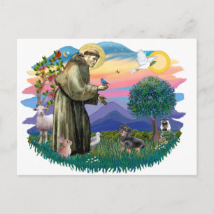 Cartão Postal Dachshund (preto e bronzeado)