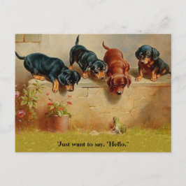 Cartão Postal Dachshund Puppies, Sapo, Olá alt.