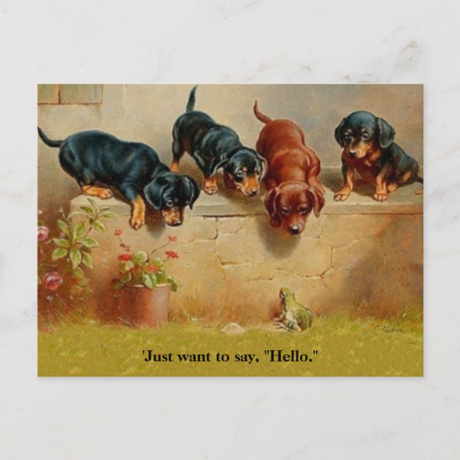 Cartão Postal Dachshund Puppies, Sapo, Olá alt. (Frente)