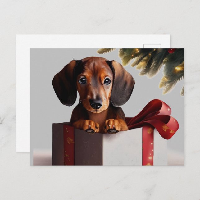Cartão Postal Dachshund Puppy Surpresa de Natal (Frente/Verso)