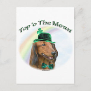 Cartão Postal Dachshund Top of the Morn'; Rua Dachshund. Patrick