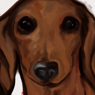 CARTÃO POSTAL DACHSHUND VERMELHO