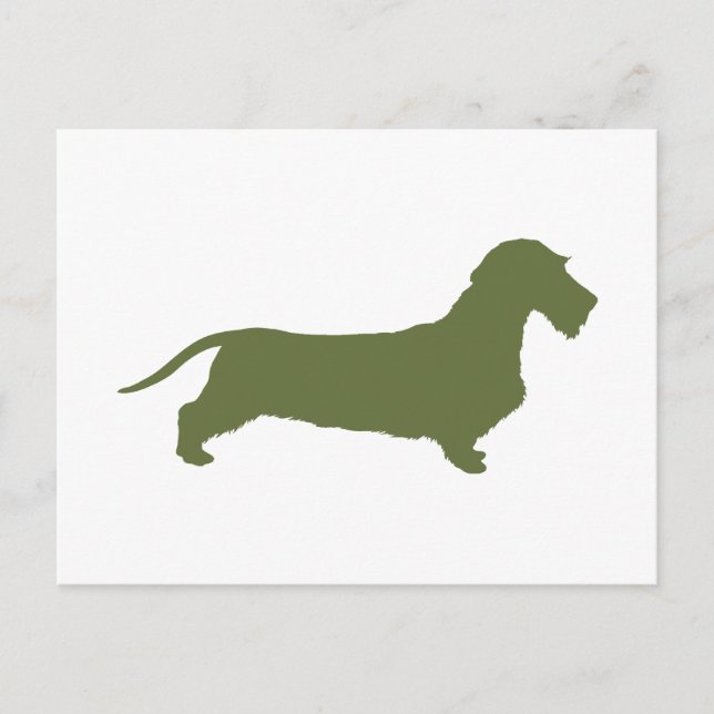 Cartão Postal Dachshund Wirehaired (Frente)