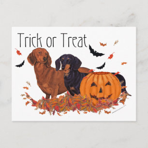 Cartão Postal Dachshunds Halloween