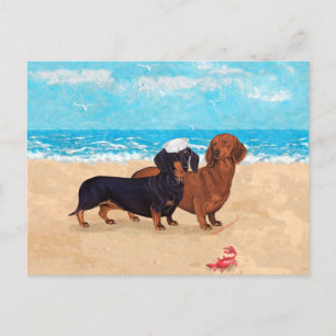 Cartão Postal Dachshunds na Praia