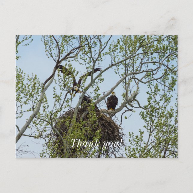 Cartão Postal Daddys Home (Frente)