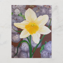 Cartão Postal Daffodil
