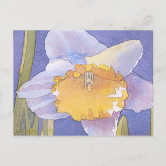 Cartão Postal Daffodil 2003