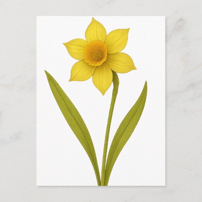 Cartão Postal Daffodil - Amor inigualável, sol (Frente)