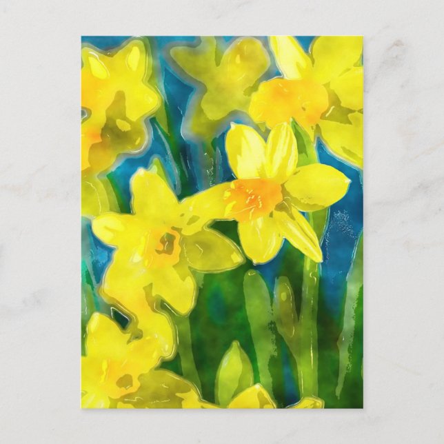 Cartão postal Daffodils (Frente)