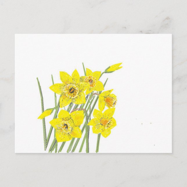 Cartão Postal Daffodils bonito (Frente)
