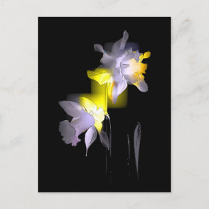 Cartão Postal Daffodils Cubist