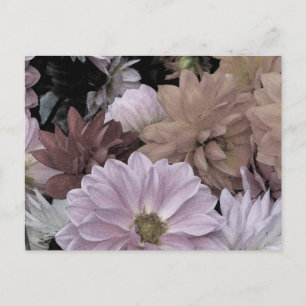Cartão Postal Dahlia Garden Flowers Floral Abstrato Postcard