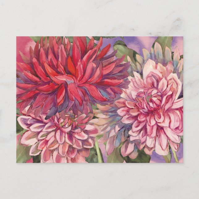 Cartão Postal dahlias flores aquarela (Frente)